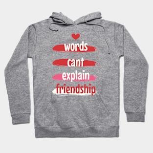 Friendship Can't Always Be Explained Hoodie